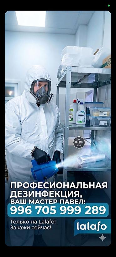 Дезинфекция, дезинсекция: Дезинфекция, дезинсекция, | Тараканы, | Подъезды, Офисы, Квартиры — 1