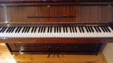 Pianolar: Piano, Akustik