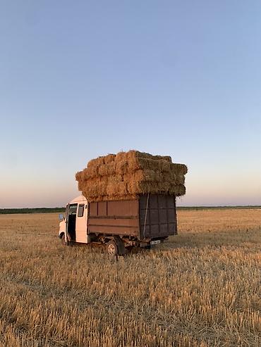 коврик на панель: Грузовик, Дубль, 3 т, Б/у — 3