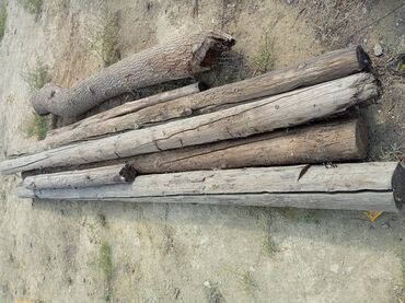 odun: Odunlug Taxtalar satilir hamisi birlikde 10 manat Badamdart