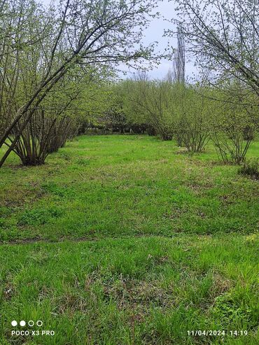 Torpaq sahələrinin satışı: 18 sot, Tikinti, Mülkiyyətçi, Kupça (Çıxarış) — 1