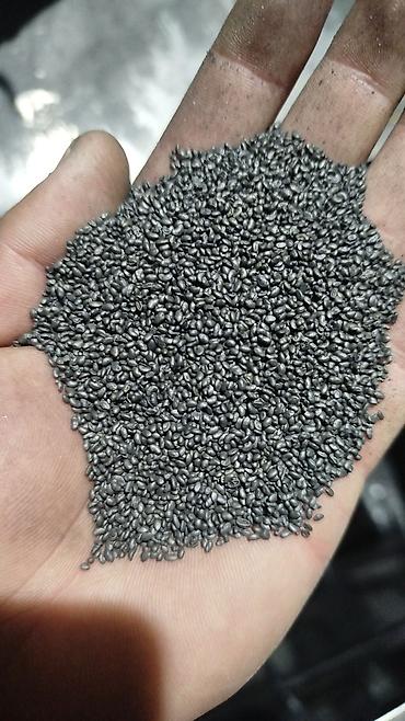 Кормовые растения: Семена кормовых растений: Люцерна — 4