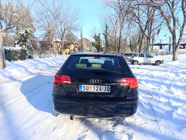 Audi: Audi A3: 1.6 l | 2006 г. Hečbek — 5