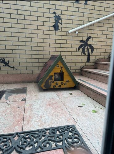 Yuvalar: Məhsul: Açıq havada istifadə üçün taxta pişik evi Təsvir: - Küçə və — 19