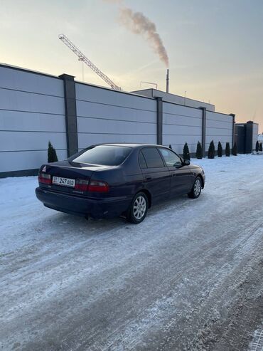 тайота карола 1995: Toyota Carina E: 1995 г., 2 л, Автомат, Бензин, Седан