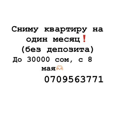 Сниму квартиру: 1 комната, 40 м², С мебелью