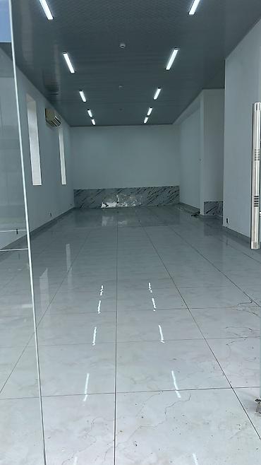 ferma is elanlari: Qəbələdə obyekt icarəyə verilir — 5