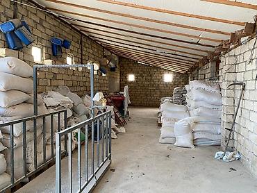 arenda koşk: Ferma/Göyçayda 260 hektar sahədə ferma bütün avadanlıqlarla və fermada — 2