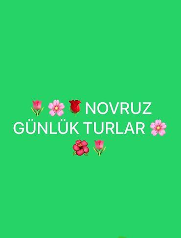 Digər xidmətlər: Turizm — 1