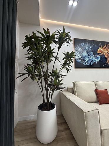 Продажа квартир: 2 комнаты, 56 м², Филармония Элитка, 14 этаж, Евроремонт — 13