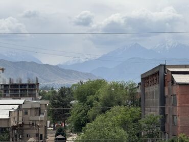 ищу квартиру собственник: 1 комната, 33 м², Индивидуалка, 1 этаж, ПСО (под самоотделку)