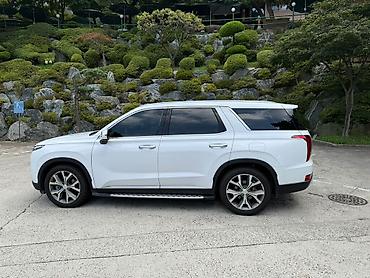 byd leopard 5: Hyundai Palisade: 2021 г., 2.2 л, Автомат, Дизель, Кроссовер — 4