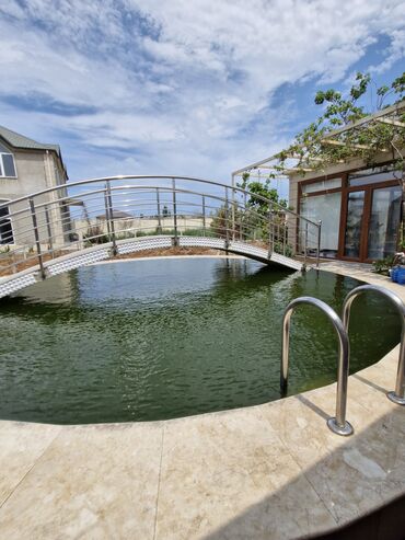 Balıqlar: Qızıl balıq, Sülhsevər, Ünvandan götürmə — 4