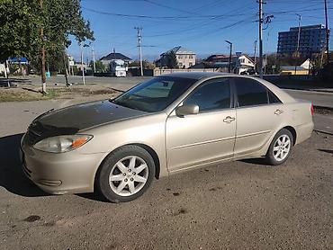 Toyota Camry: 2005 г., Автомат, Бензин, Седан
