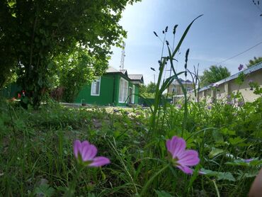 Günlük kirayə evlər: 100 kv. m, 3 otaqlı — 1