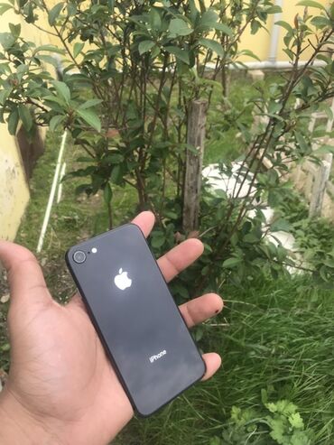 iphone 8 plus irsad: IPhone 8, 64 ГБ, Черный, Отпечаток пальца