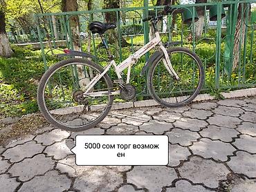 Горные велосипеды: Горный велосипед, Сталь — 1