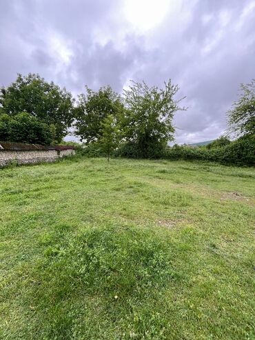 Torpaq sahələrinin satışı: 5 sot, Kənd təsərrüfatı -da lalafo.az — 7 Torpaq sahələrinin satışı: 5 sot, Kənd təsərrüfatı — 7