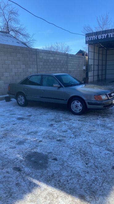 радной краска ауди: Audi 100: 1991 г., 2.3 л, Механика, Газ, Седан