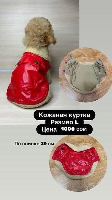 Зоотовары: Одежда для кошек и собак. Все НОВОЕ РАЗМЕР И ЦЕНА УКАЗАНЫ НА ФОТО — 1