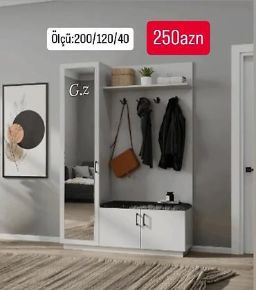 paltar refi: Düz dolab, Dəhliz üçün, Paltar üçün, Açılan, Korpuslu, 2 qapılı — 1