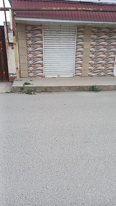 plastic qapi: Satıram dükan uçun jalyuz eni 120 santı hündürluyu 250 santı lap az — 1