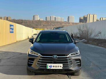 BYD: BYD D1: 2019 г., 2 л, Автомат, Электромобиль, Кроссовер — 1