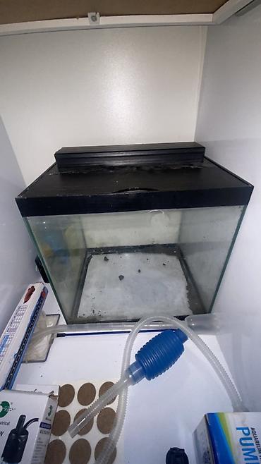 akvarum matoru: Dördbucaq akvarium, Boş, 25 l, Ödənişli çatdırılma — 4