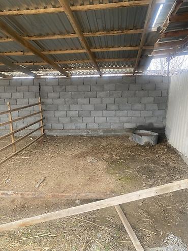 Гарнитуры для зала: Гарнитур для зала, Диван, цвет - Серый at lalafo.kg — 25 Гарнитуры для зала: Гарнитур для зала, Диван, цвет - Серый — 25