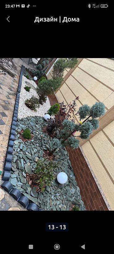 Газон: Сеем Газон и Автополив at lalafo.kg — 6 Газон: Сеем Газон и Автополив — 6