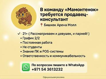 работу для студентов: Вакансия: продавец‑консультант в команду «Мамонтёнок» Локация — 1