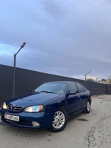 kugoo kg: Nissan Primera: 2001 г., 2 л, Механика, Бензин, Седан — 2