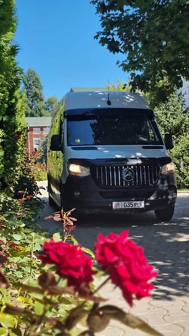 Пассажирский бус на заказ: Пункт назначения: Аэропорт Манас, Количество мест: 17, Лицензия №: 08В004534 at lalafo.kg — 3 Пассажирский бус на заказ: Пункт назначения: Аэропорт Манас, Количество мест: 17, Лицензия №: 08В004534 — 3