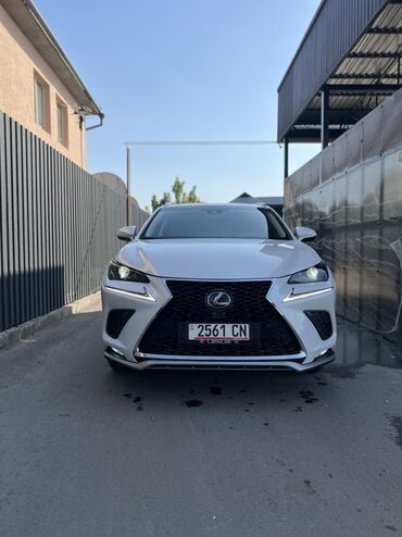 чехол для некси: Lexus NX: 2019 г., 2 л, Автомат, Бензин, Кроссовер