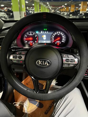 шторка на машину: Kia K7: 2017 г., 3 л, Автомат, Газ, Седан