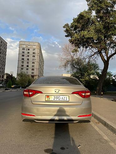 sonata: Hyundai Sonata: 2018 г., 2 л, Автомат, Газ, Седан — 7