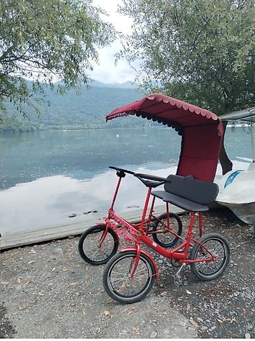 velosibed barter: İki nəfərlik pedallı velorikşa (dördtəkərli) - Korpus: möhkəm metal — 1