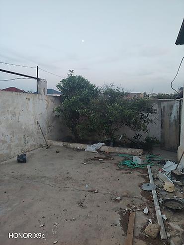 7 sot, Biznes üçün, Makler, Kupça (Çıxarış)