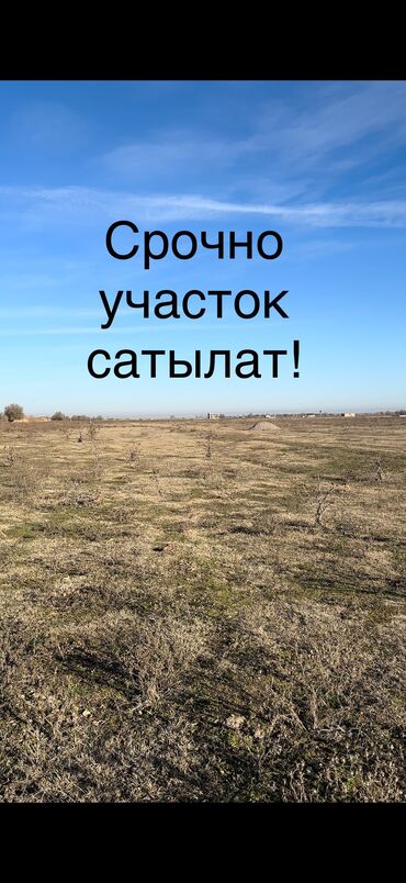 сколько стоит 1 сотка земли в бишкеке 2021: 423 соток, Курулуш, Техпаспорт, Кызыл китеп