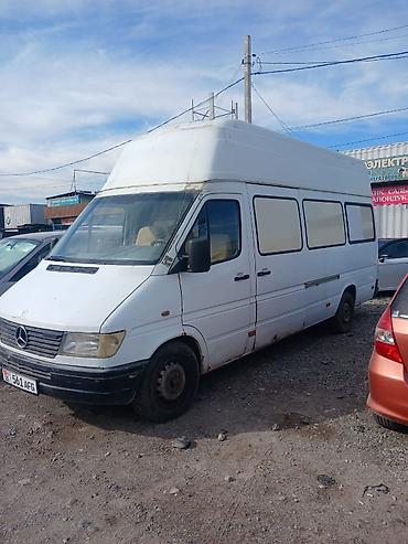 transporter multivan: Mercedes-Benz Sprinter, высокий длиннобазный фургон (макси). Кузов: - — 7