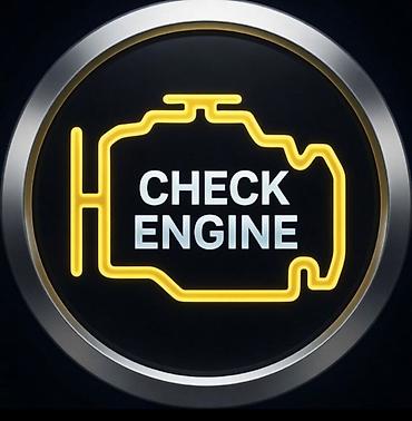 киса: Диагностика и устранение ошибок Check Engine Профессиональная — 1