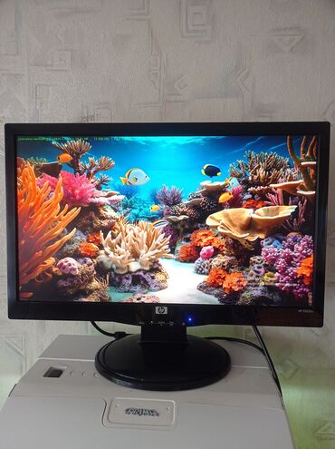 мониторы 100х100 мм: Монитор, HP, Б/у, LCD, 20" - 21"