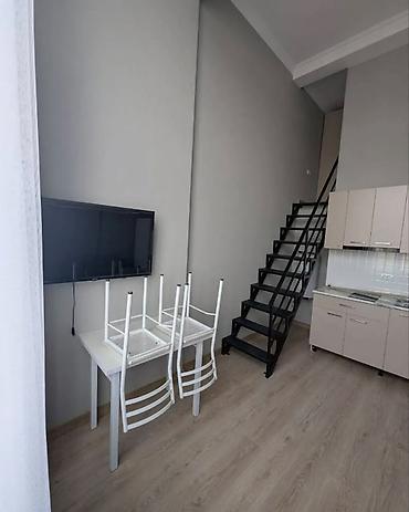 Продажа квартир: 1 комната, 29 м², Аламедин-1 мкр Элитка, 9 этаж, Евроремонт — 3