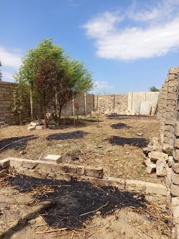 ramana gülçülük sovxozu: Для строительства, Собственник, Договор