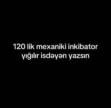 inkubator cucesi: 120 lik inkibator yığılır isdəyən yazsın — 1