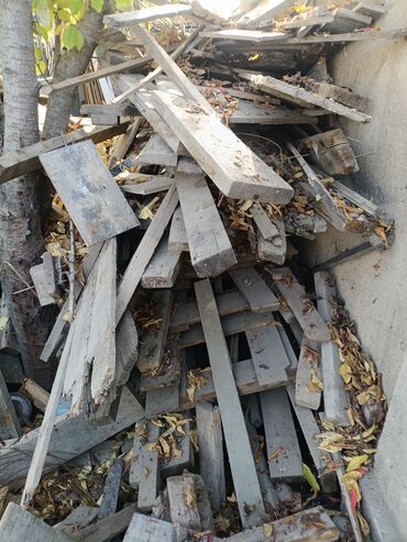 семена кукурузы в бишкеке: Стройкадан арткан ушундай рейколар брустар апалафкалар сатылат кимге