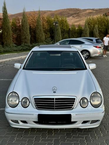 w210 мерс: Mercedes-Benz E-Class: 2000 г., 5 л, Автомат, Бензин, Седан