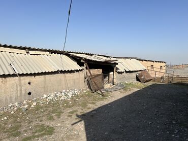 Продажа домов: Дом, 180 м², 4 комнаты, Собственник, Дизайнерский ремонт — 15