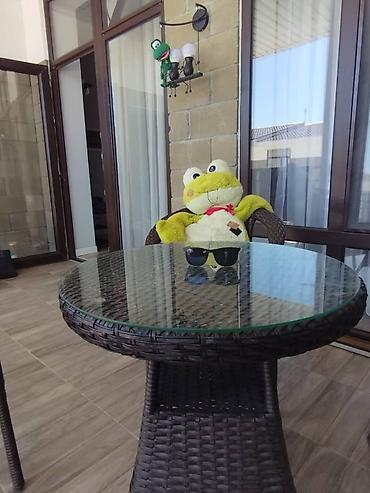 Иссык-Куль 2026: Коттедж, КОТТЕДЖ ЦО Palm Beach, Чок-Тал, Детская площадка, Парковка, стоянка, Охраняемая территория — 2