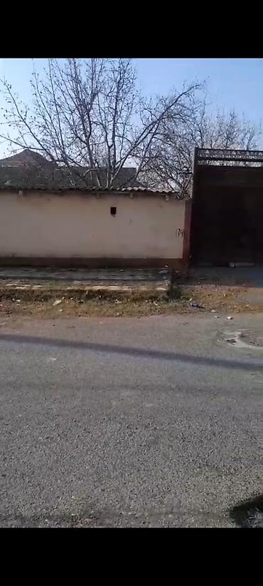 Torpaq sahələrinin satışı: 6 sot, Kupça (Çıxarış) — 22